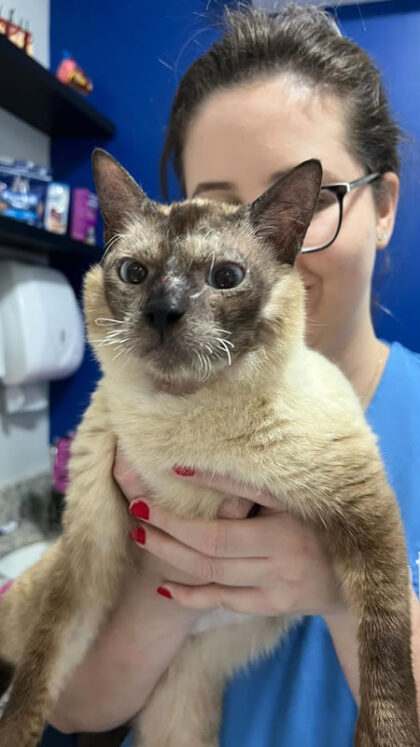 Cupcake - Caso Clínico 01