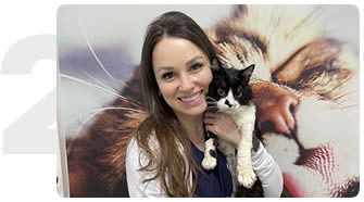 Médicos veterinários especializados - Hospital Cats Londrina