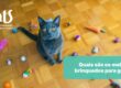 Quais são os melhores brinquedos para gatos? Veja quais comprar - Hospital Veterinário Cats Londrina