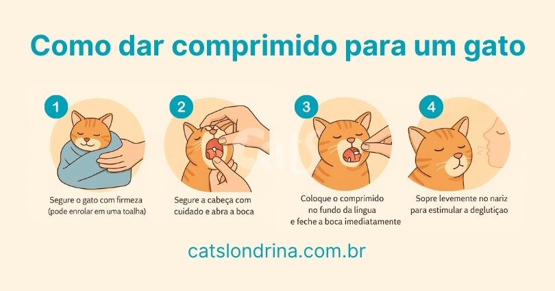 Como dar remédios para gatos? - Hospital Veterinário Cats Londrina