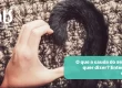 O que a cauda do gato significa? Entenda os sinais! - Hospital Veterinário Cats Londrina