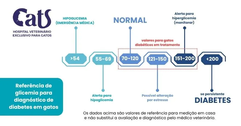Será que meu gato tem diabetes? O que fazer se ele for diabético? - Hospital Veterinário Cats Londrina