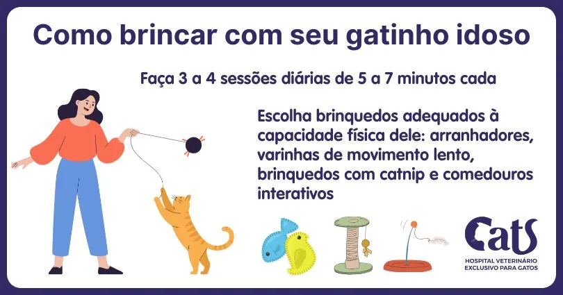 Gatos idosos ainda brincam? Veja quais brinquedos escolher. - Hospital Veterinário Cats Londrina