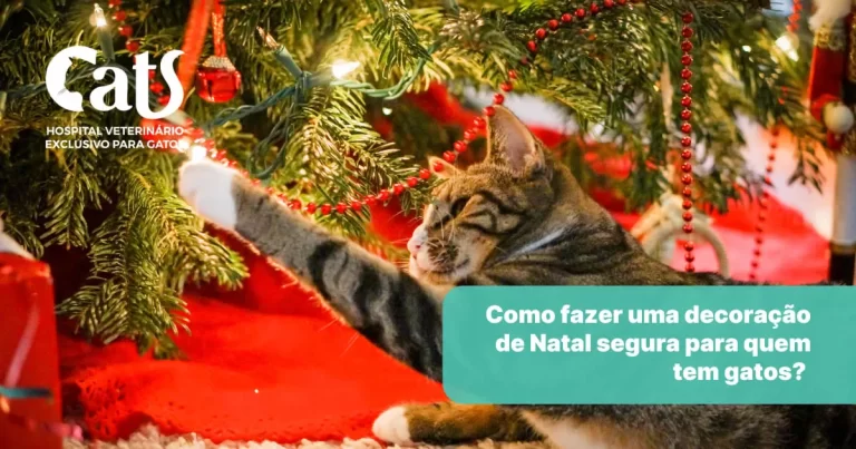 Decoração de Natal para quem tem gatos: como fazer um Natal seguro e sem acidentes - Hospital Veterinário Cats Londrina