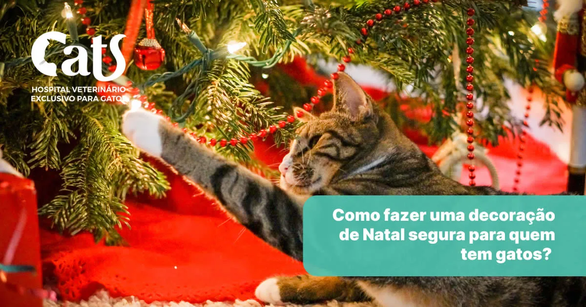 Decoração de Natal para quem tem gatos: como fazer um Natal seguro e sem acidentes - Hospital Veterinário Cats Londrina