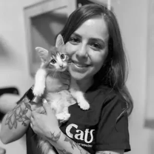Marcella Bassetto Palma - Médica Veterinária Especializada em Medicina Felina - CRMV-PR 20666
