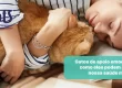 Gatos podem ajudar na saúde mental? Entenda como os felinos podem ser animais de apoio emocional (AAE) - Hospital Veterinário Cats Londrina