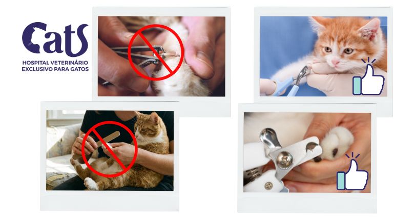 Cortador de unhas para gatos