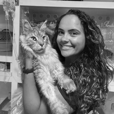 Amanda Saraiva de Lima - CRMV-PR 26887