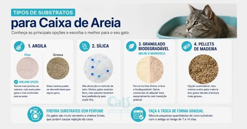 Infográfico - Areia para Gatos - Hospital Veterinário Cats Londrina