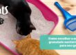 Qual a melhor areia para gatos? O que a ciência diz sobre a escolha do substrato - Hospital Veterinário Cats Londrina