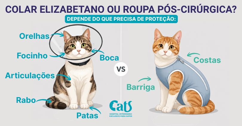 Comparativo - Colar Elizabetano e Roupa Cirúrgica - Hospital Veterinário Cats Londrina