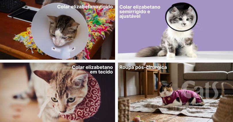 Tipos de colares - Hospital Veterinário Cats Londrina
