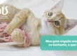 Meu gato engoliu uma linha ou barbante: o que eu faço agora? - Hospital Veterinário Cats Londrina